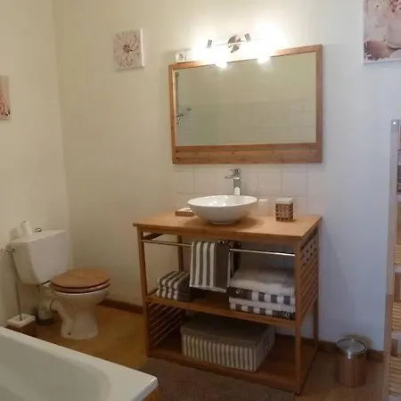 Les Aigrettes, En Plein Centre, A 200m De La 公寓 圣瓦斯特－拉乌格