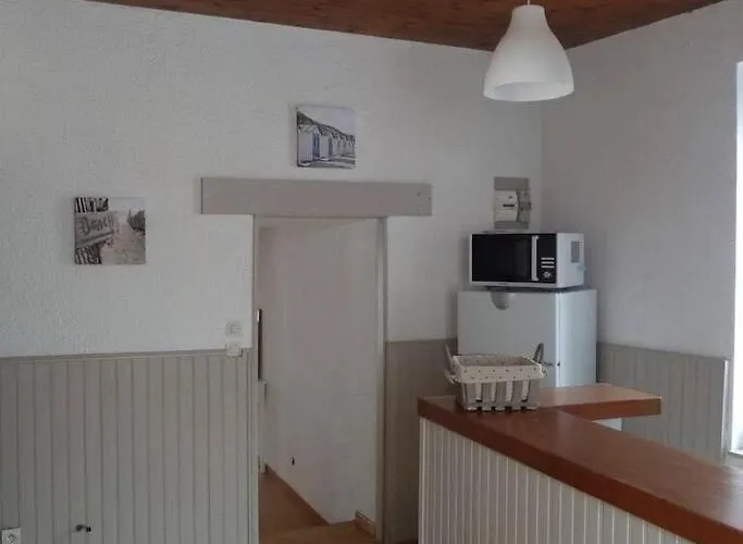 Les Aigrettes, En Plein Centre, A 200m De La Apartament *