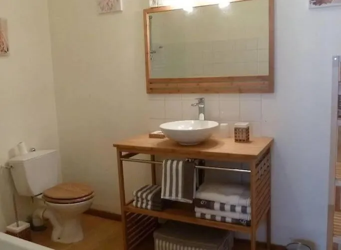 Les Aigrettes, En Plein Centre, A 200m De La 아파트 생 바스트 라 우게